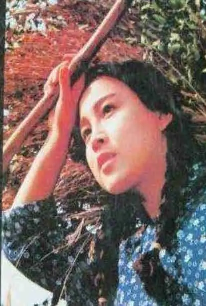 《部落性冲突》：文化碰撞下的悲歌，揭露现代社会对原始部落的冲击